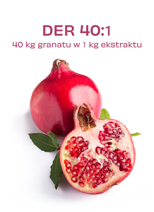 GRANGO® <span> zestaw 3 szt.</span> - obrazek 5